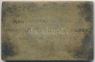 Berán Lajos (1882-1943) 1929. "Magyar Országos Céllövő Szövetség" fém plakett (40,5x63mm) ...