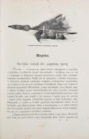 Az Osztrák-Magyar Monarchia írásban és képben. Magyarország XXI. kötet. Szent István koronája ország...