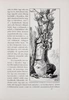 Az Osztrák-Magyar Monarchia írásban és képben. Felső Ausztria és Salzburg. Budapest, 1891, Magyar Ki...