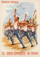 XI. Sokol Kongress C (EK)