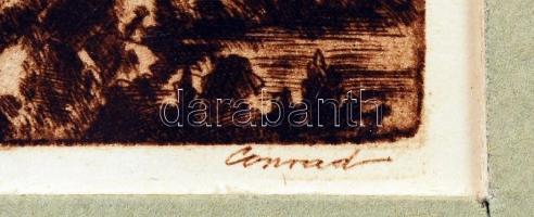 Conrád Gyula (1877-1959): A Tabán látképe. Rézkarc, papír, jelzett, üvegezett keretben, 11x9 cm