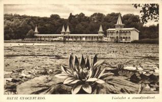 24 db RÉGI történelmi magyar városképes lap; főleg magyar, erdélyi, kárpátaljai / 24 old historical ...