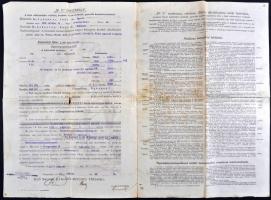 Budapest 1923. "Első Magyar Általános Biztosító Társaság Budapesten" életbiztosítási kötvé...