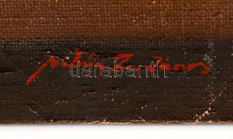 Molnár jelzéssel: Csendélet citrommal. Olaj, vászon, 62×53 cm