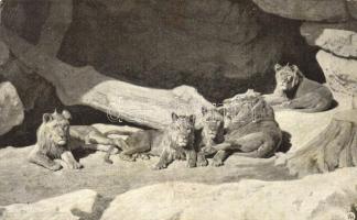 Budapest - 4 db régi képeslap / 4 old postcards