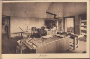 Budapest II. Szépilona utca 4., Ferencz József Nevelőintézet és Budapesti II. ker. kir. egyetemi kat...