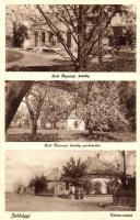 Jobbágyi, Gróf Apponyi kastély és park, Új utca