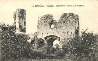 Nagysáros, II. Rákóczi Ferenc vár, bejárat, Divald / entry of the castle