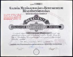 Hódmezővásárhely 1924. "Gazdák Mezőgazdasági és Kereskedelmi Részvénytársasága" részvény 800.000K-ról, szárazpecséttel, felülbélyegezve T:III
