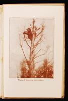 Kellermann: Háború az Argonneokban. Bp., 1916, Athenaeum. Sok korabeli fényképpel. Kicsit kopott, dí...