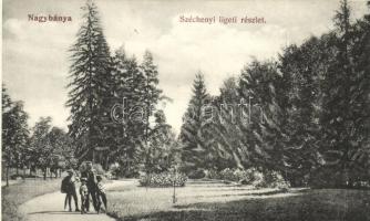 Nagybánya, Széchenyi liget / park (Rb)