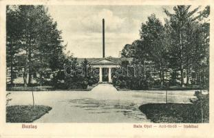 Buziás, Acél fürdő / spa (EK)