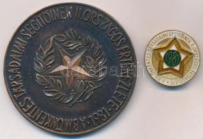 1981. "A BM Önkéntes Társadalmi Segítőinek II. Országos Értekezlete" Br plakett (60mm) + zománcozott jelvény tokban T:2