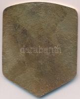 DN "Emlékül a Magyar Honvédség 2. gépesített hadosztály parancsnokától" Br plakett tokban ...