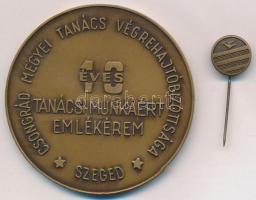 ~1980. "Csongrád Megyei Tanács Végrehajtóbizottsága, Szeged - 10 éves tanácsi munkáért" Br emlékérem kitűzővel tokban (70mm) T:1