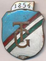 DN "Toldy Ferenc Gimnázium 1854" zománcozott Br jelvény (40x30mm) T:3 (zománchiba, karc)