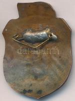 DN "Toldy Ferenc Gimnázium 1854" zománcozott Br jelvény (40x30mm) T:3 (zománchiba, karc)