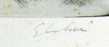 Gy. Molnár István (1933-): Kis tó a tanya mellett. Rézkarc, papír, jelzett, üvegezett kereteben, 19×...