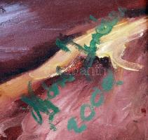 Jelzés nélkül: Hegyi patak. Olaj, vászon, kerteben, 60×40 cm