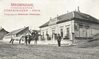 Pécs, Meisenzahl lókereskedés