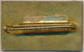 1969. "Budapest 1969. VII. Szakszervezeti Világkongresszus - FSM" zománcozott fém jelvény ...