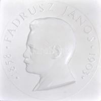 Gergely István (1939-) "Fadrusz János 1858-1903" gipsz plakett (145x145mm) T:1-