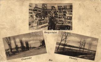 Bia, Biatorbágy; tó, Hangya, utca (b)