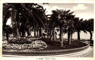 San Remo, palms and flowers