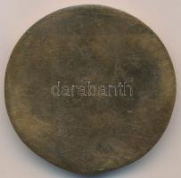 DN "Baktay Ervin" Br plakett (59mm) T:1