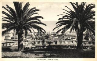 San Remo, palms (EK)
