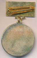 ~1970-1980. "5 éves Törzsgárda MÉH" zománcozott fém jelvény T:2