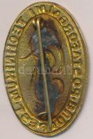 DN "Postaforgalmi Technikum Budapest" festett fém jelvény T:2