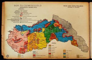 Mezőgazdaságunk irányításának alapjai. Grundlagen der planmässigen Landwirtschaft in Ungarn. Szerk.:...