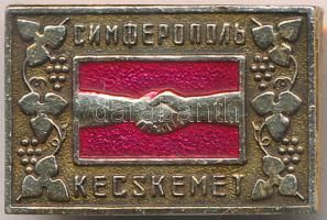 DN "Szimferopol - Kecskemét" testvérváros aranyozott fém jelvény T:2