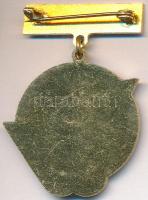 1967. "Olajvállalatok V. Világkonferenciája (UISTICPS) - Budapest 1967." zománcozott fém j...