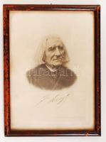cca 1880 Liszt Ferenc(1811-1886), heliogravür, üvegezett keretben, kép 9x14 cm, keret 13x18 cm