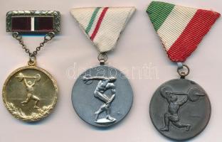 1960. "Iskolai verseny súlyemelés - I. helyezett" aranyozott fém díjérem (36mm) + DN "Súlyemelés" Br díjérem mellszalagon. Szign.: Szentesy (40mm) + 1982. "Diszkoszvetés" ezüstözött Br díjérem mellszalagon. Szign.: BL (40mm) T:2,2-