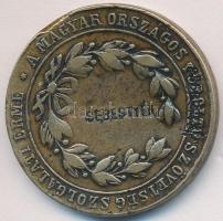 DN "A Magyar Országos Tűzoltó Szövetség Szolgálati Érme / Alapíttatott 1884"  Br kitüntetés(37mm) T:3,3- ph. hibás beleütés
