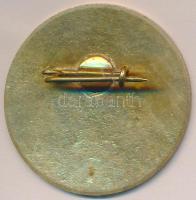 DN "Úttörő Gárda - Közlekedési" zománcozott fém jelvény (34mm) T:2