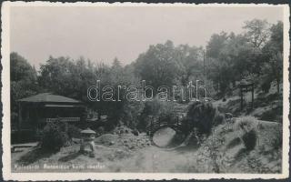 Kolozsvár, Botanikus kert / botanical garden