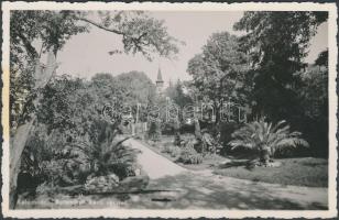 Kolozsvár, Botanikus kert / botanical garden