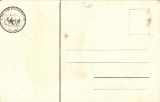 Volosko, Volosca; hátoldalon Fiumei Rizs Fénykeményítő Védjegy / trademark on the back side, litho