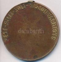 Maugsch Gyula (1882-1945) 1929. "Pest-Pilis-Solt-Kiskun vármegye" Br emlékérem (40mm) T:3 ...