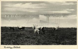 Hortobágy, délibáb