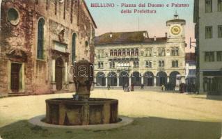 Belluno, square of the cathedral, palace