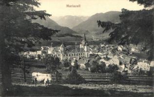 Mariazell church