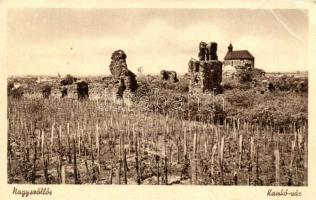 Nagyszőllős, Kankó vár / castle ruins (EB)