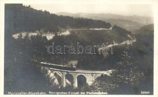 Mariazeller Alpenbahn, Sturzgrabenviadukt bei Puchenstuben / railway viaduct