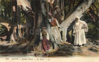 Algerian folklore, Jardin dEssai, Un Ficus / garden (EK)