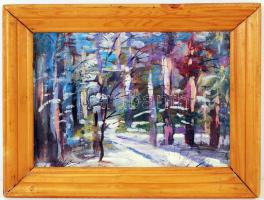 Olvashatatlan jelzéssel: Téli színek az erdőben. Olaj, karton, jelzett, fa keretben, 32x23 cm